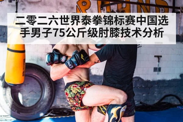 二零二六世界泰拳锦标赛中国选手男子75公斤级肘膝技术分析